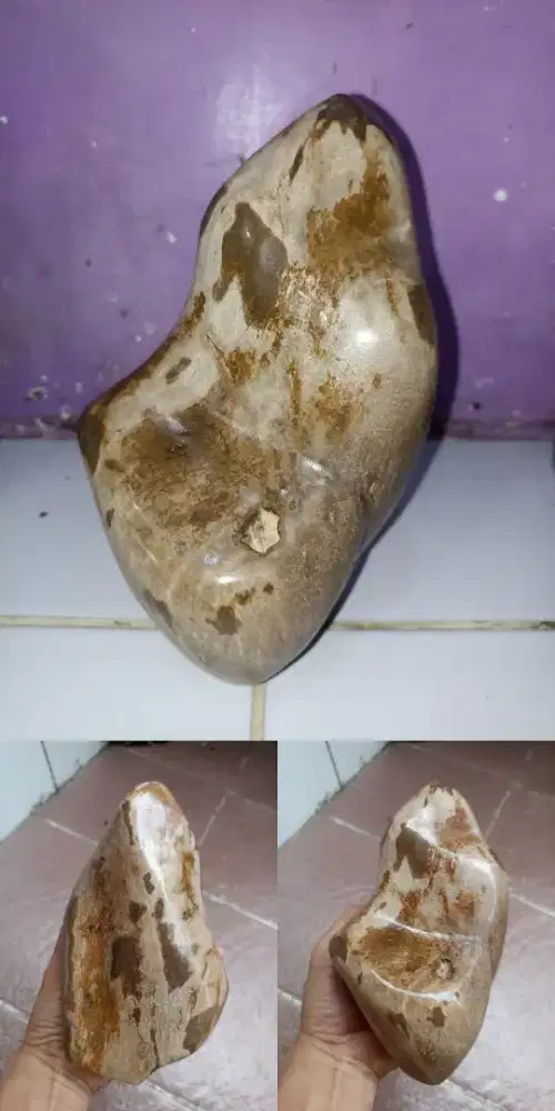 Pajangan Fosil Kayu Cakep