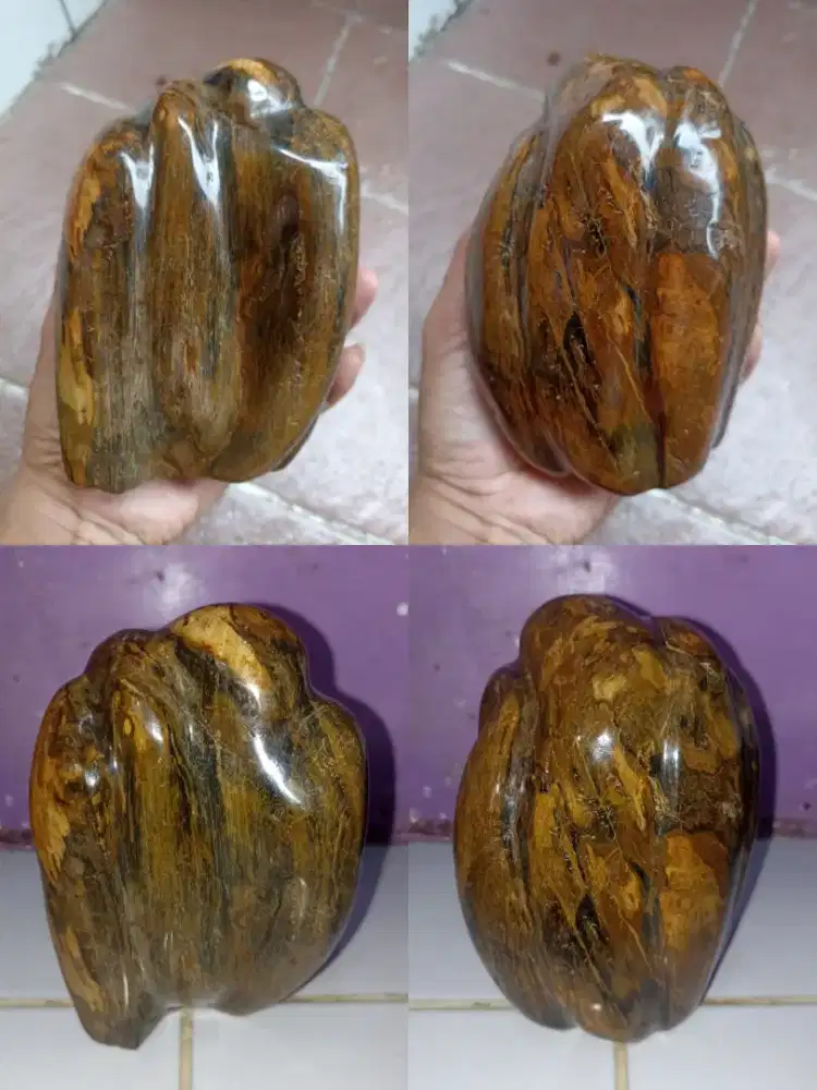 Pajangan Fosil Kayu Cantik