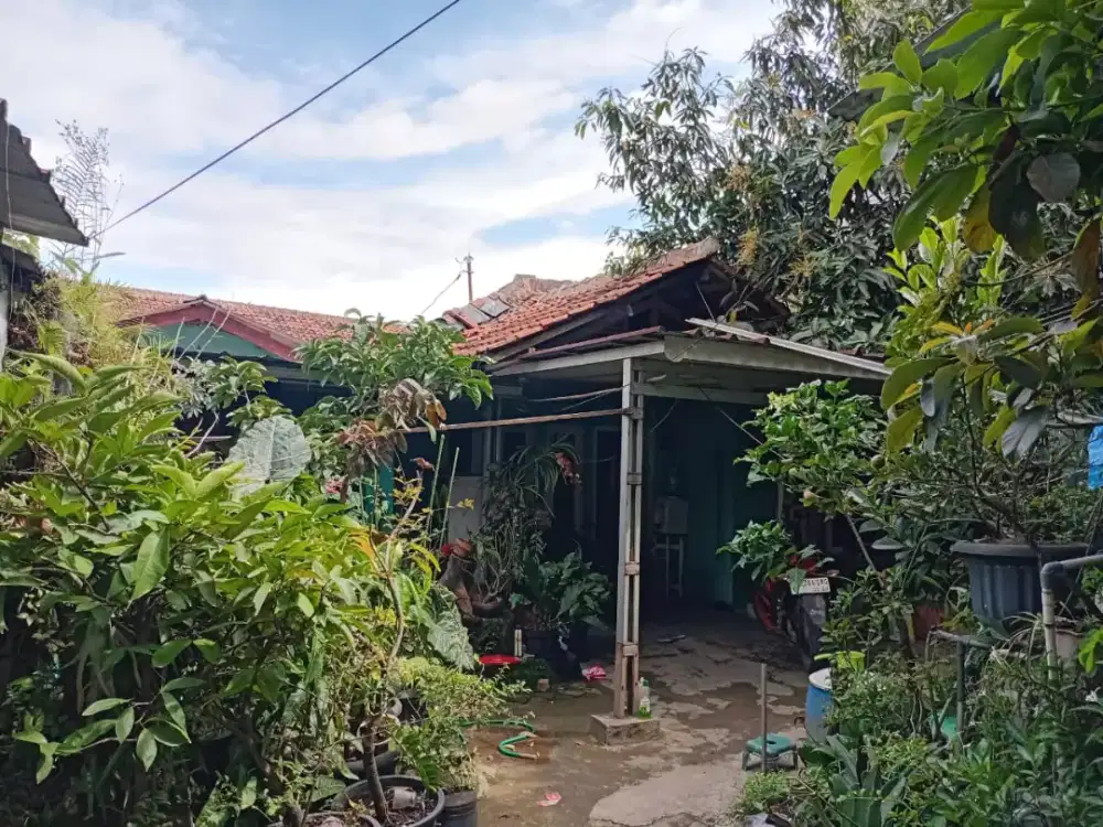 Jual Tanah Bonus Rumah