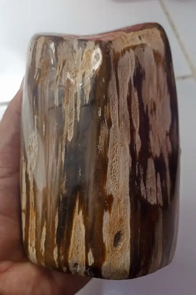 Pajangan Fosil Kayu Crystal Madu Cantik