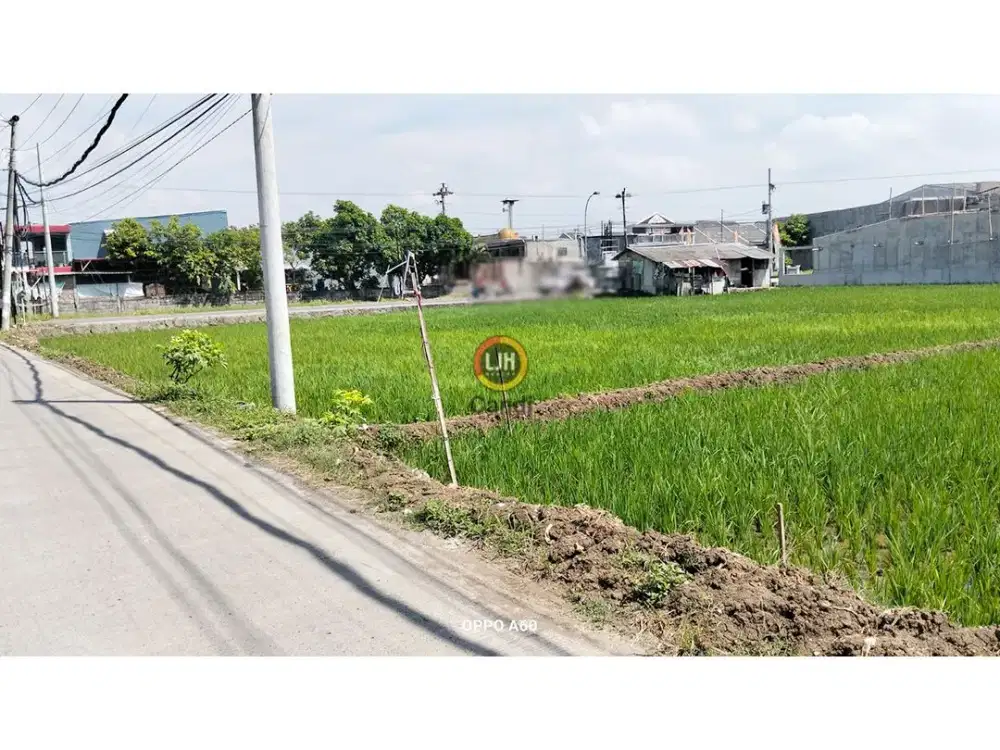 Kavling di DS Batursari Mranggen Jawa Tengah