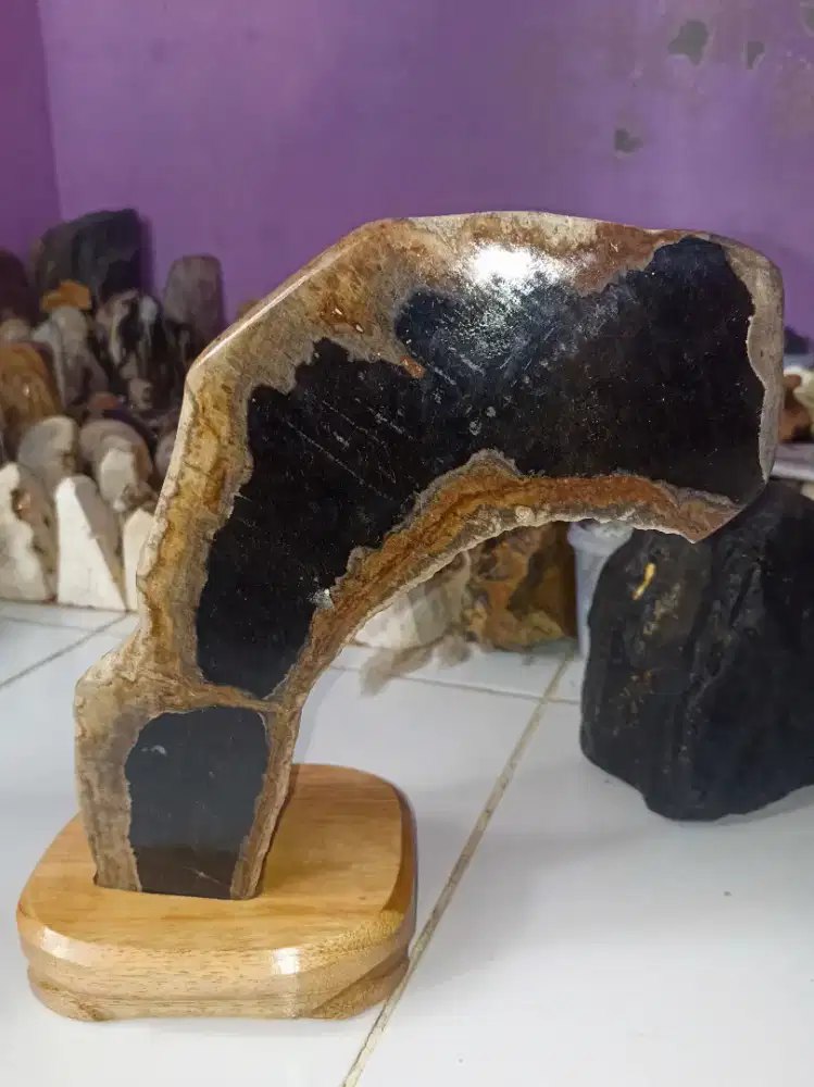 Pajangan Fosil Kelor Unik