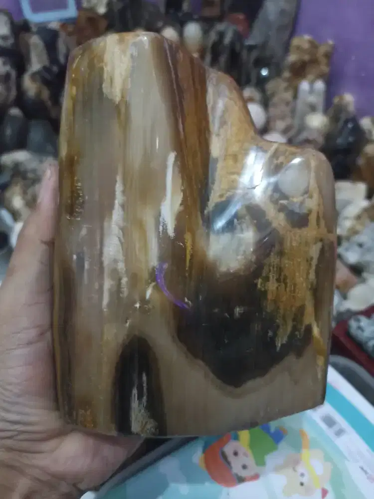 Pajangan Fosil Kayu Crystal Cantik
