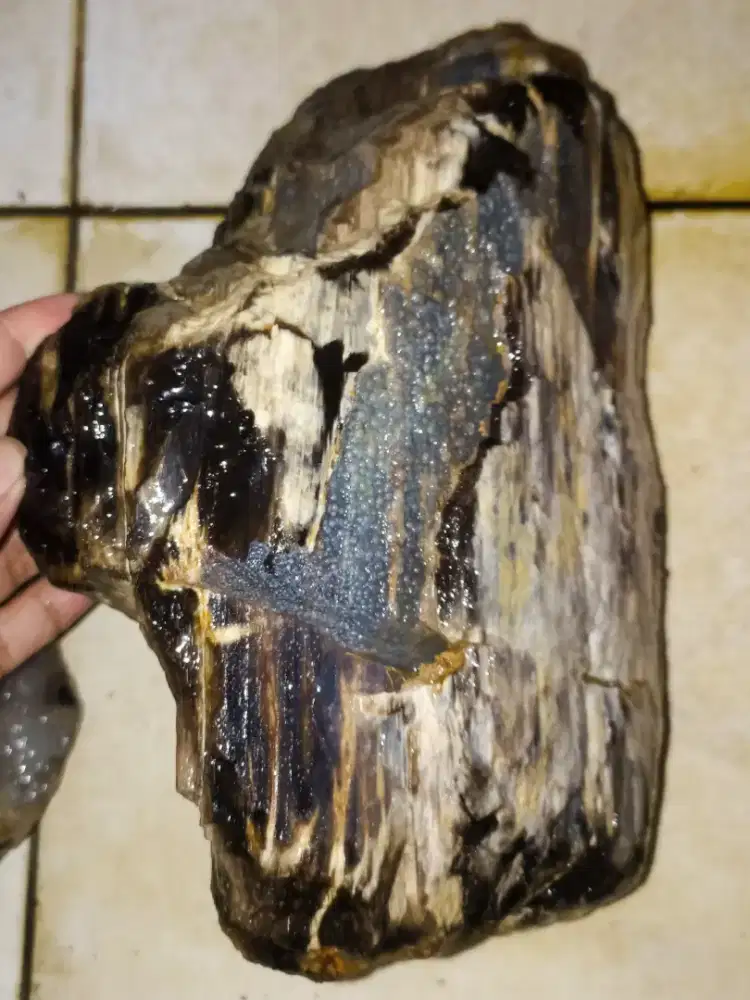 Bahan Fosil Kelor Crystal ±10kg