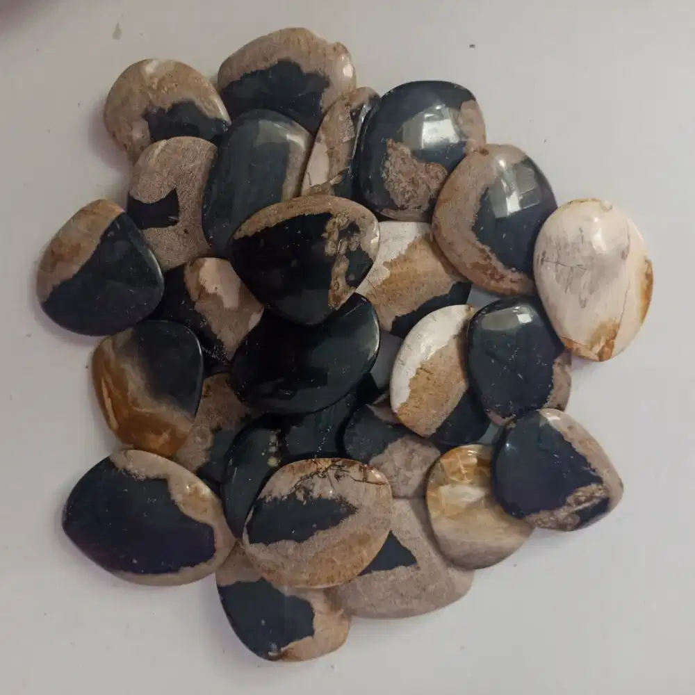 Alat Kerikan Dari Fosil Kelor