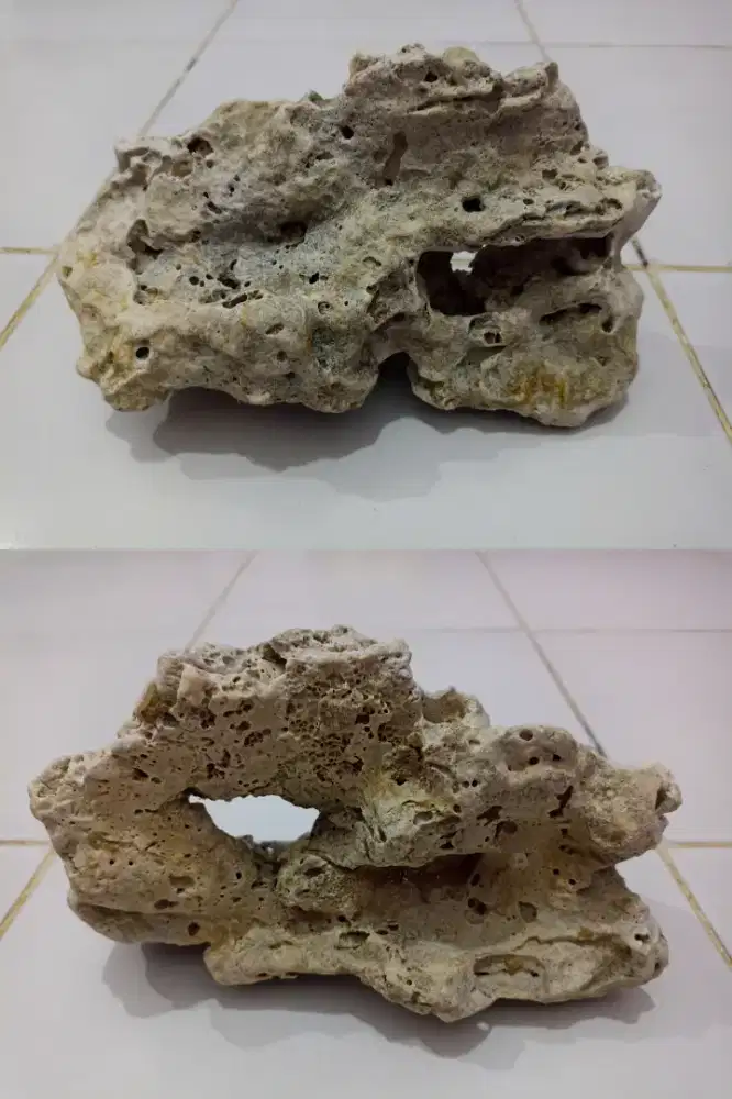 Hiasan Seiseki Cantik