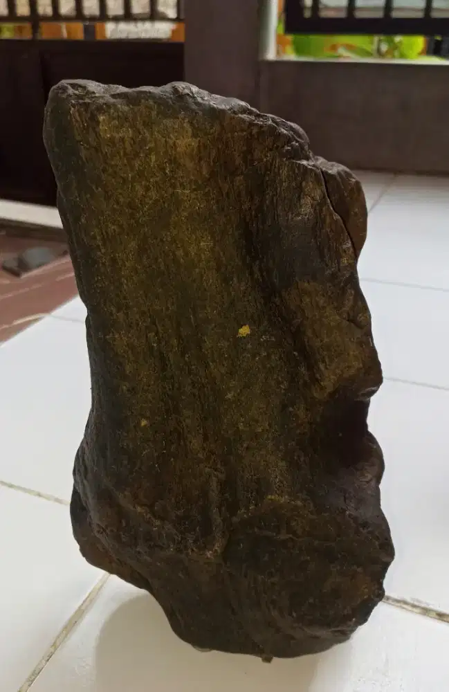 Fosil Kayu Cakep ±13kg