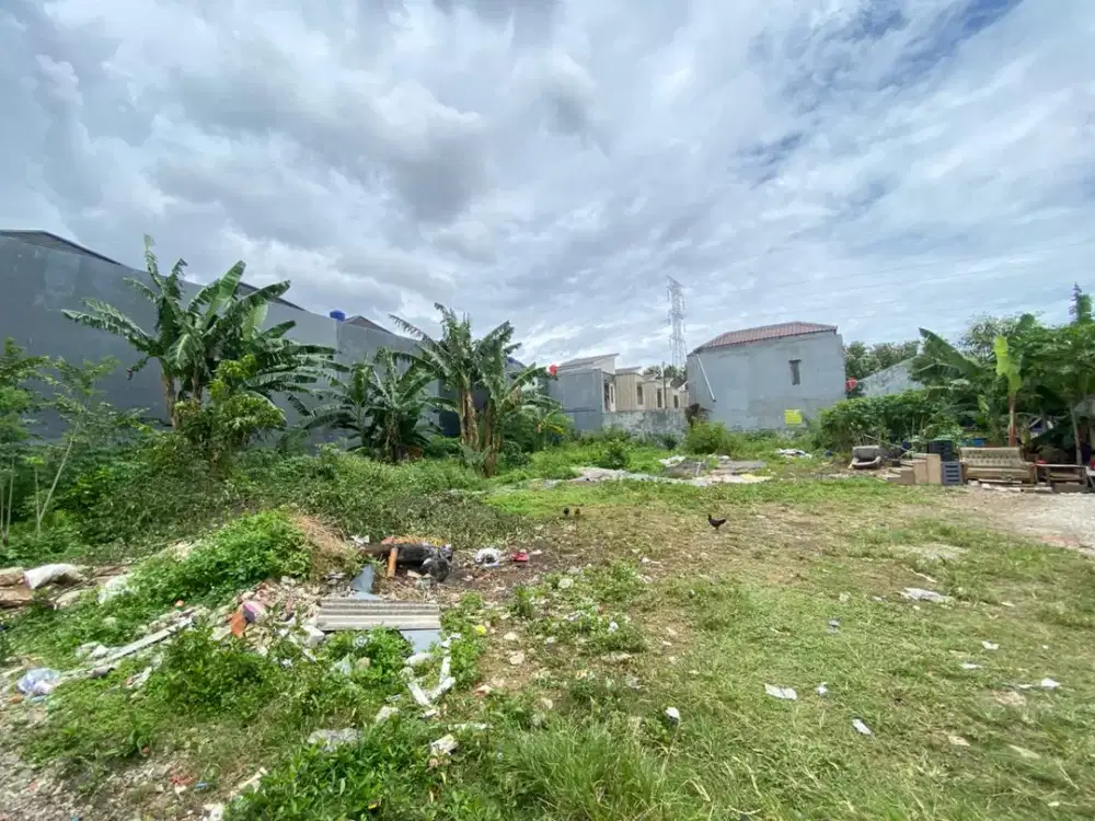 Tanah Termurah Dekat STAN - Pinggir Jalan 500 Jutaan