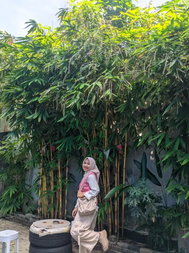 CARI LOWONGAN KERJA PART TIME HOST LIVE STREAMING