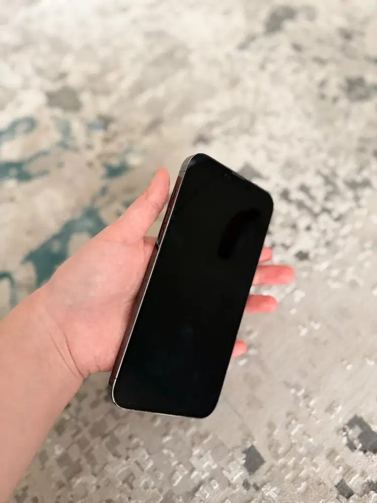 Jual iPhone 13 Pro Max / 256 GB / Alpine Green