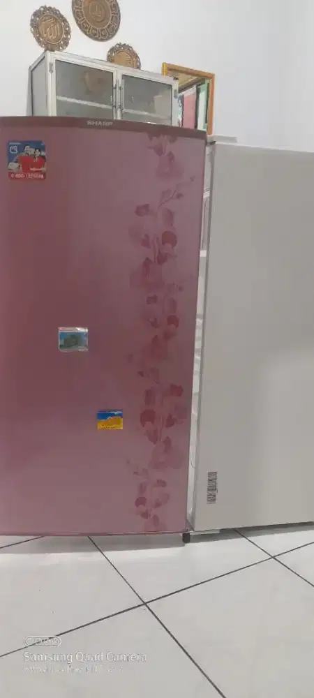 Kulkas sharp 1 pintu
