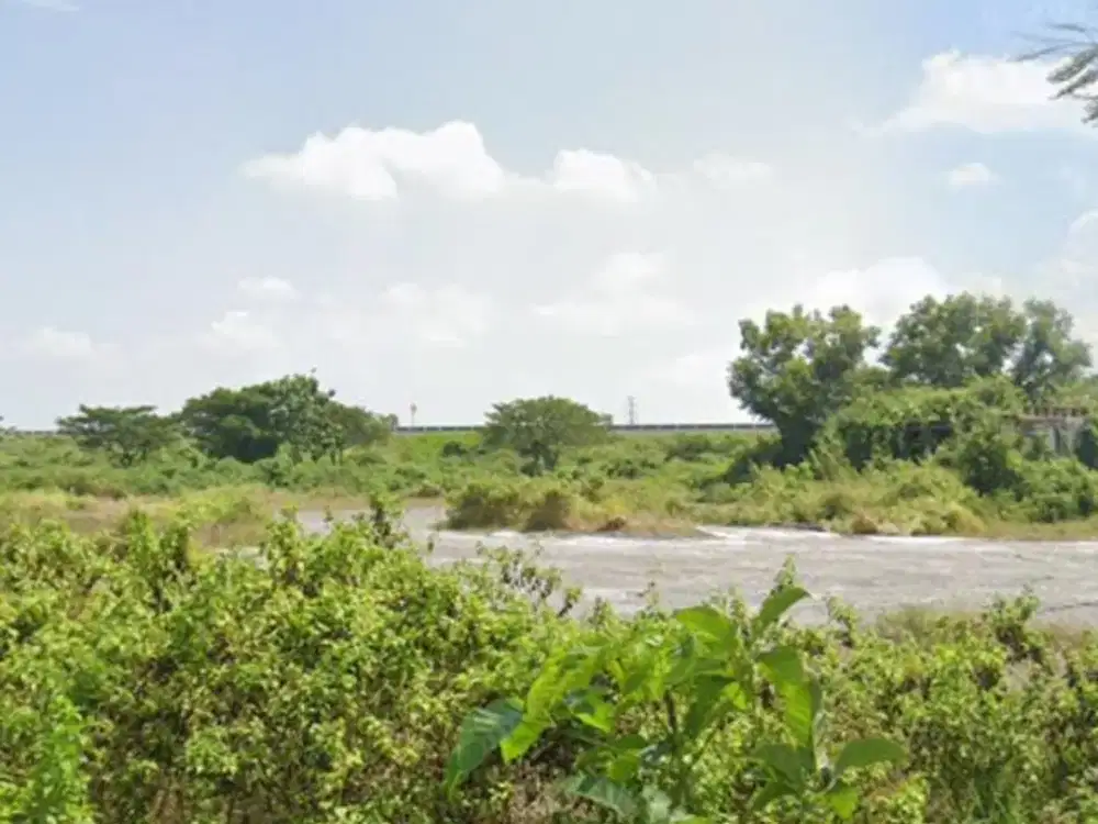 Disewakan Lahan Zona kuning Lokasi Sidoharjo,Sragen Luas   5250m2