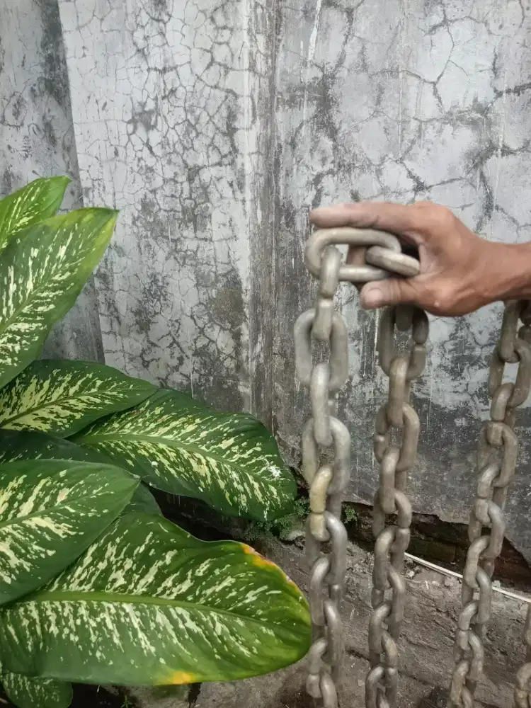 RANTAI PLASTIK BESAR 7,5 METER Rp.75 Ribu