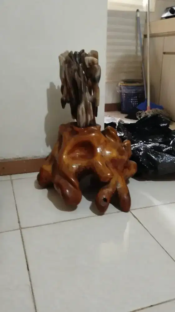 Jual fosil kayu jadi batu