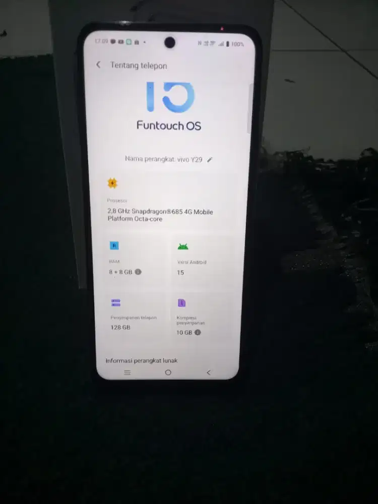 Vivo y 29 (8+8 /128)