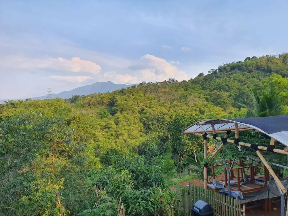 Lowongan Penjaga Kebun Soreang