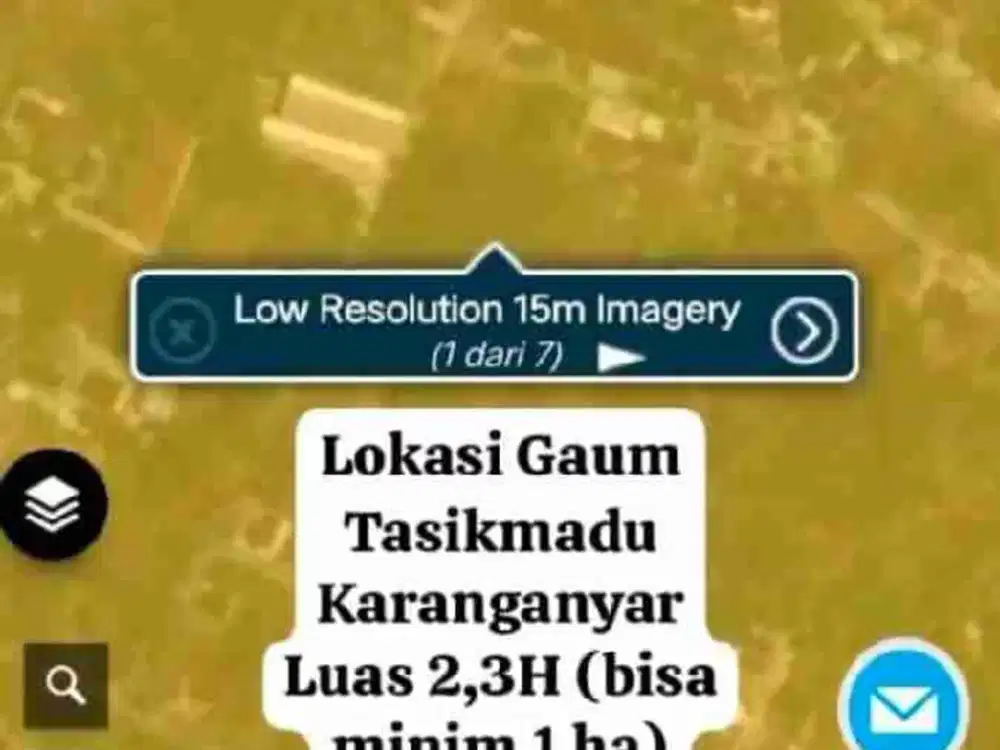 Di jual Yona kuning karangayar