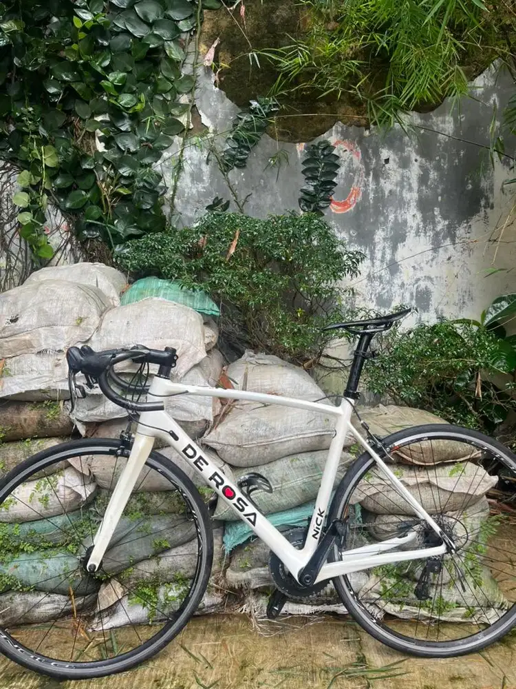 De Rosa Nick Roadbike Full Carbon
