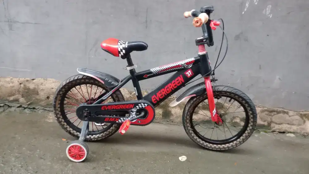 Sepeda anak EVERGREEN Ukuran 16