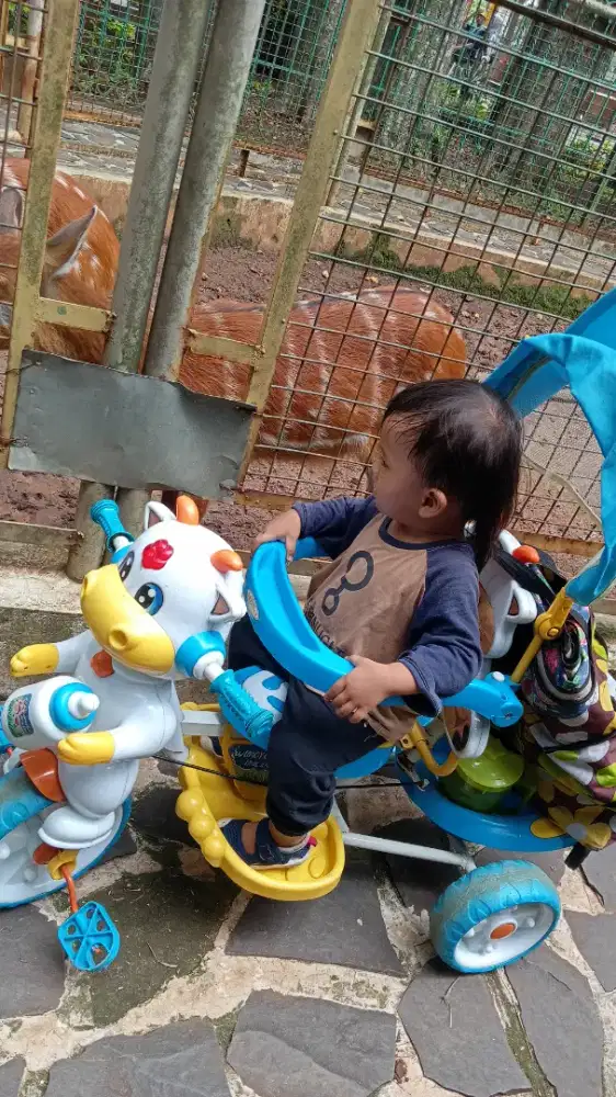 Sepeda anak roda 3 merek wimcyle