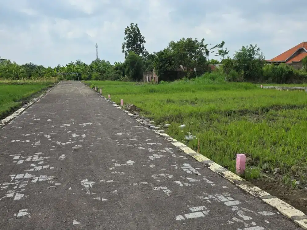 Tanah pekarangan murah siap bangun balongbendo sidoarjo ukuran gede gede