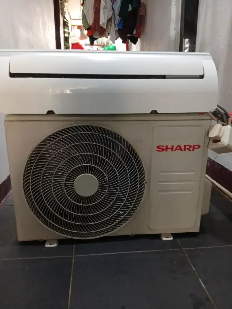ac sharp 1/2 Pk