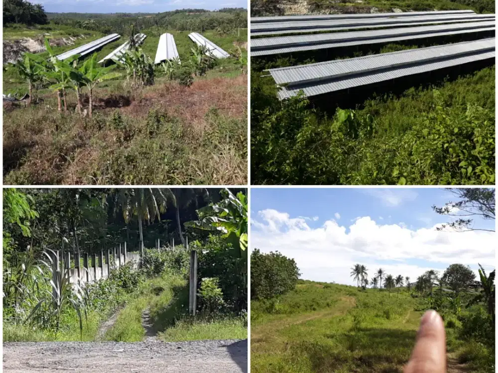 Tanah Kosong cocok utk Peternakan di Talang Baru Sidomulyo