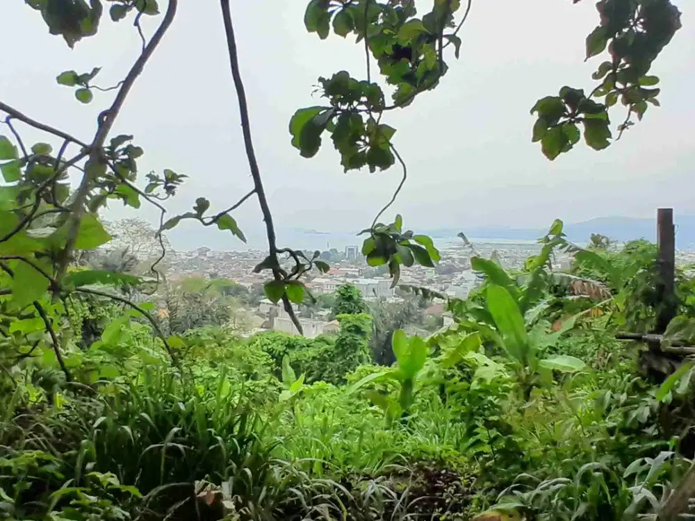 Tanah View Laut smping Waroeng diggers Pahoman