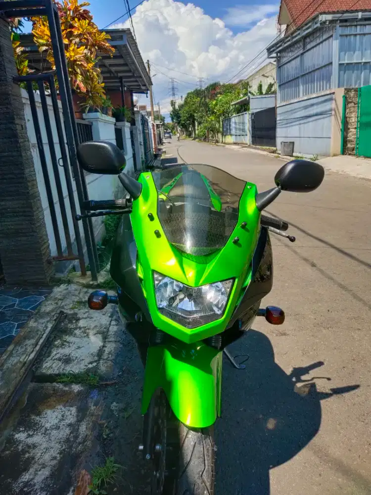 Kawasaki Ninja 150 RR New