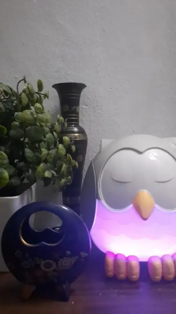Preloved Young Living Owl Diffuser
