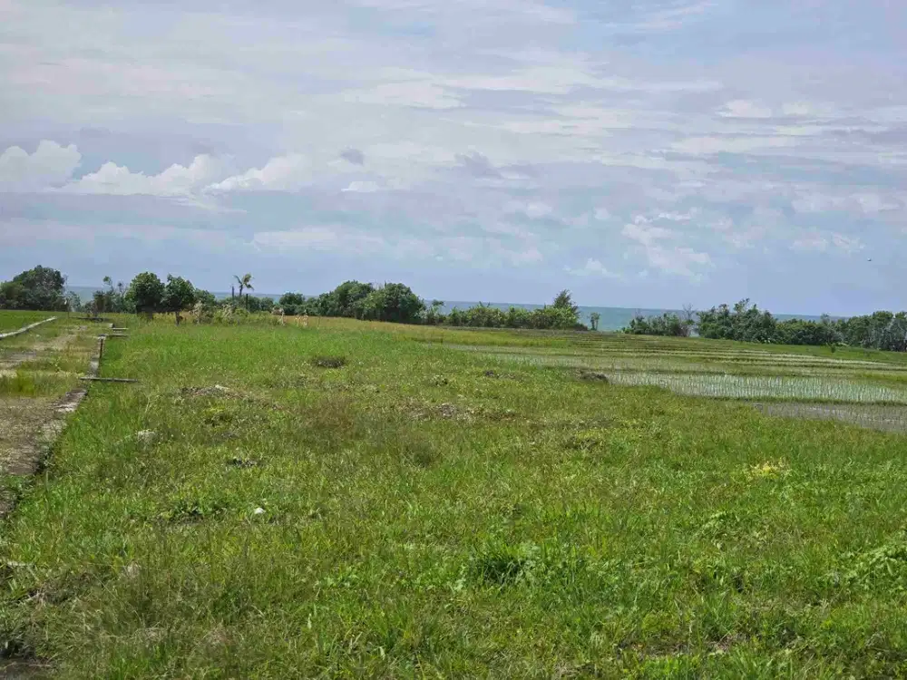 dijual tanah kecil view laut sawah di pantai pasut tabanan bali