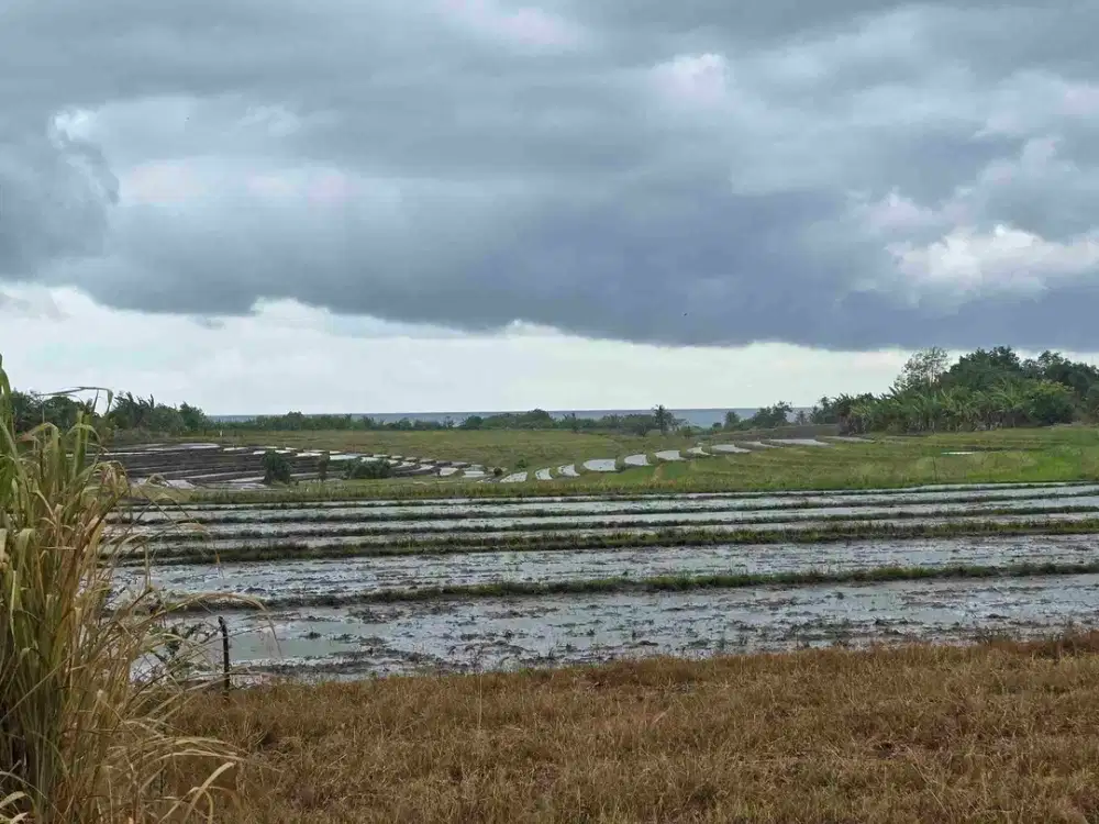 dijual tanah view laut sawah di tabanan bali