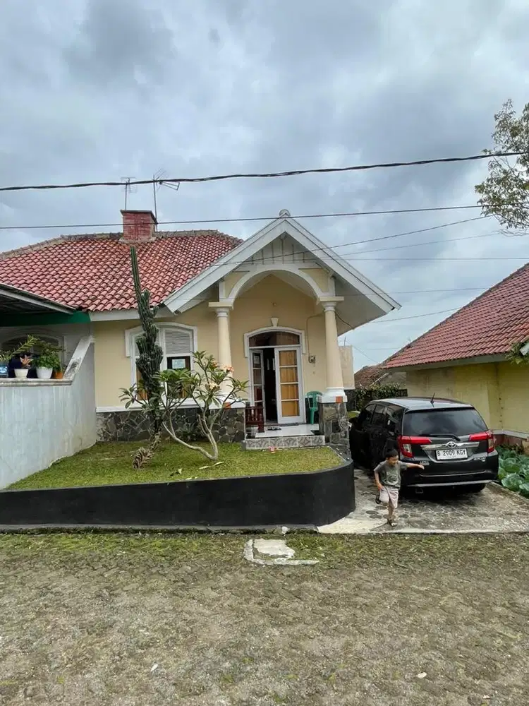 Villa Antiq minimalis