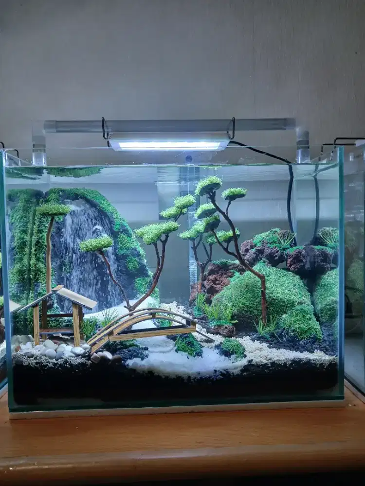 Aquarium aquascape air terjun