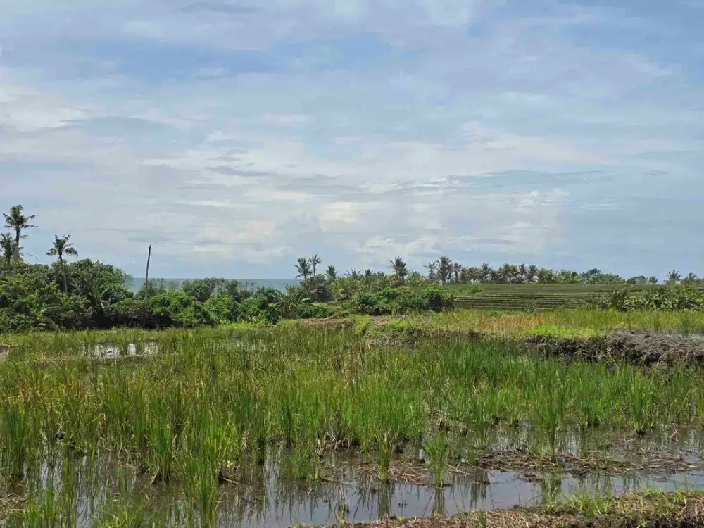 dijual tanah kecil dekat pantai pasut tabanan bali