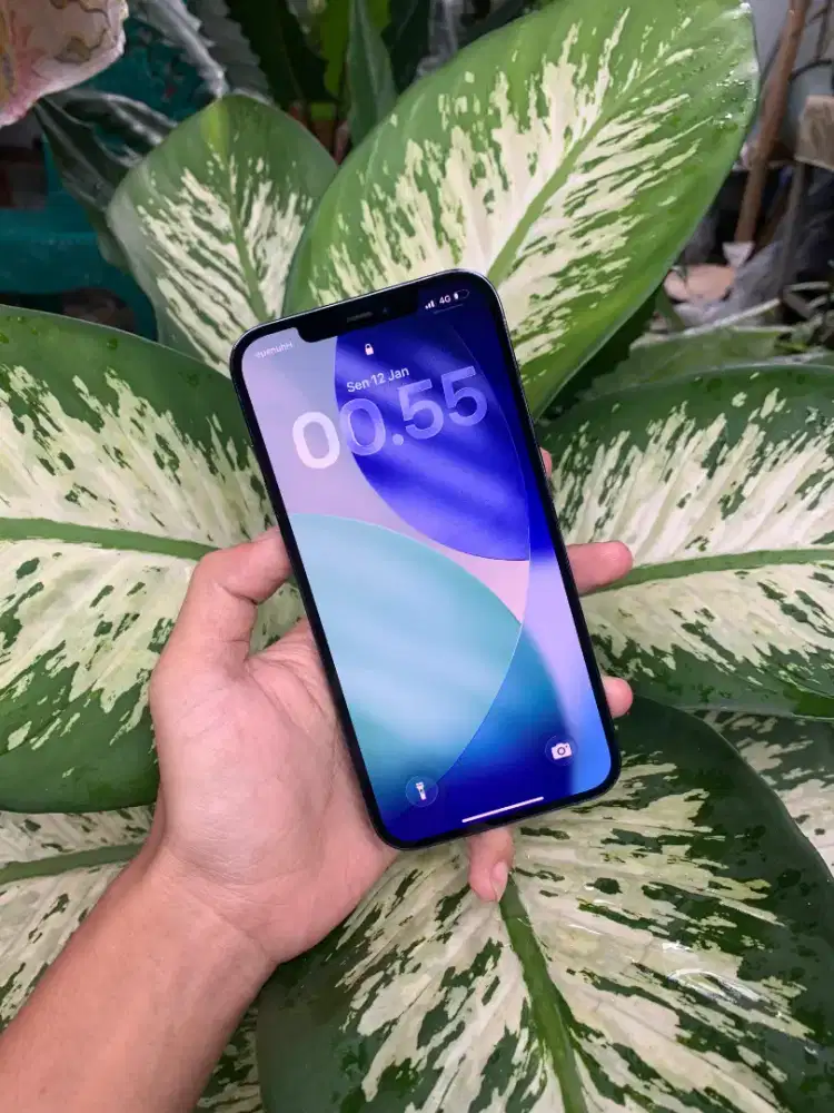 iPhone 12 ProMax 128gb inter