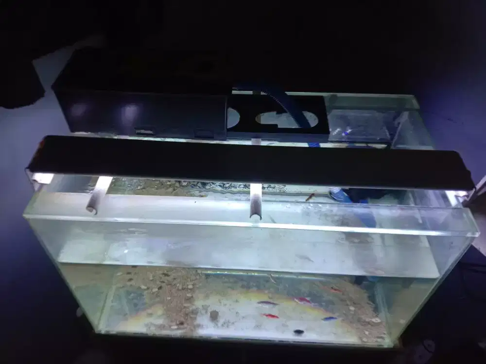 Aquarium uk 65x30x37 fullset