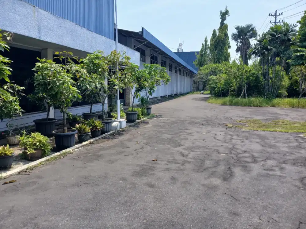 Tanah strategis di jalan Siliwangi raya Semarang 1 hektar