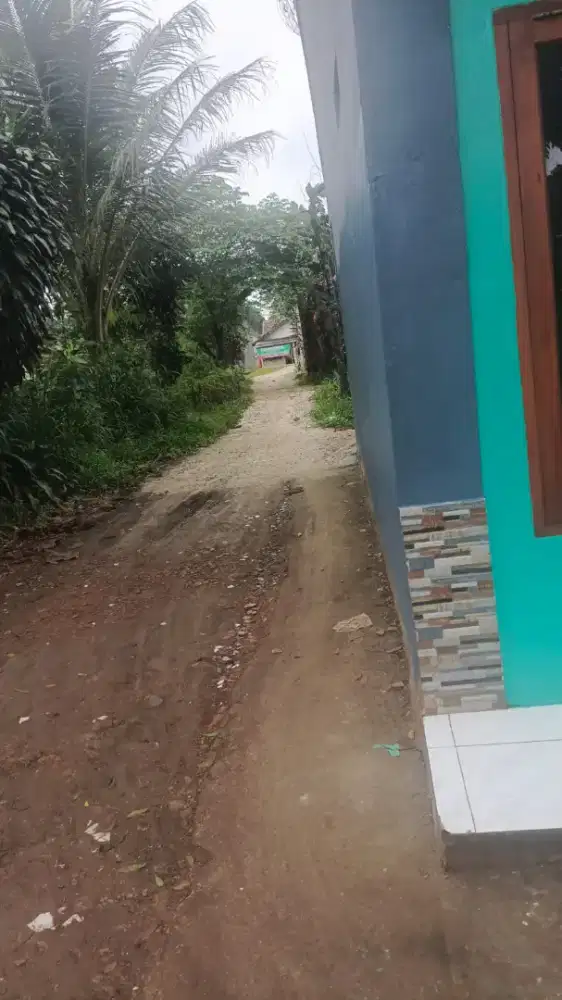 Tukang perbaikan atap bocor dan renovasi