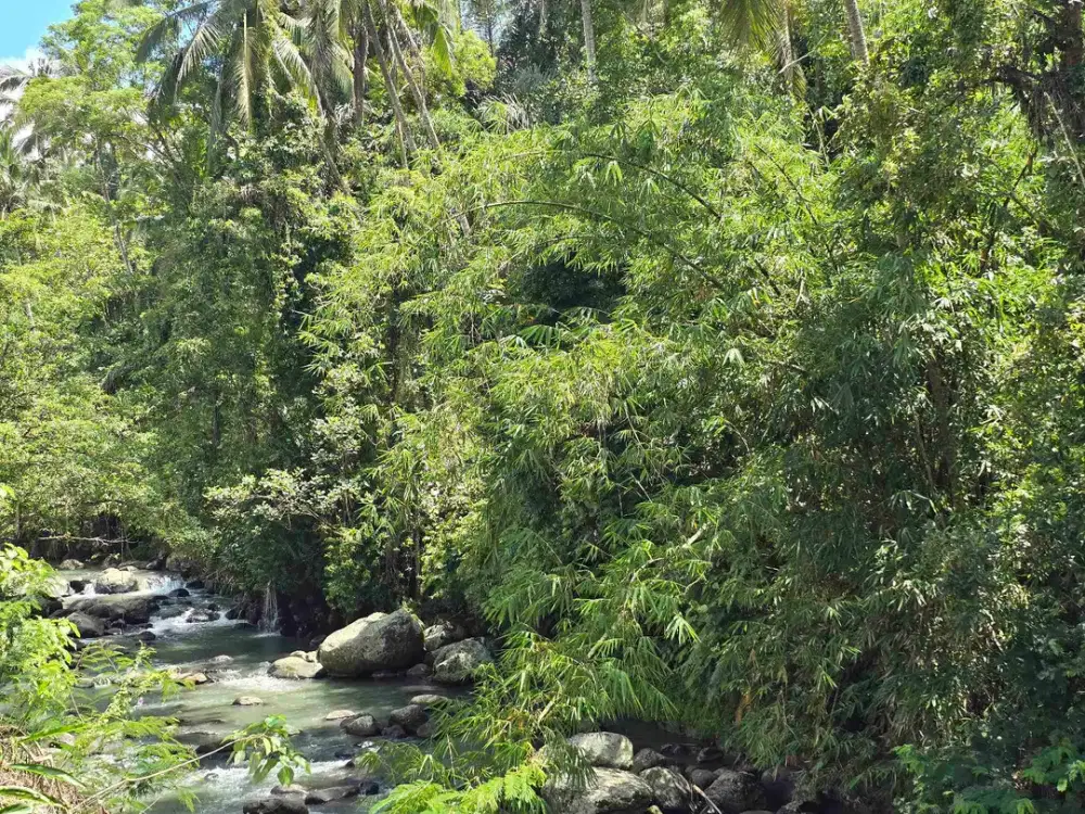 dijual tanah kecil los sungai air jernih bebatuan di penebel tabanan bali