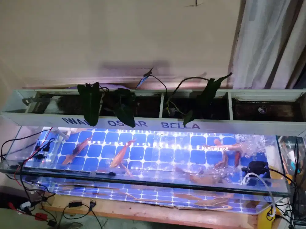 Aquarium 1meter full sett