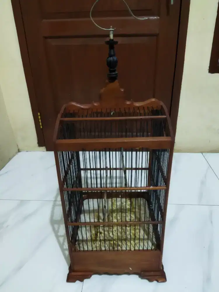 Kandang burung ciblek