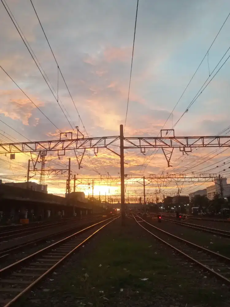 Jasa ballboy/sparing patner