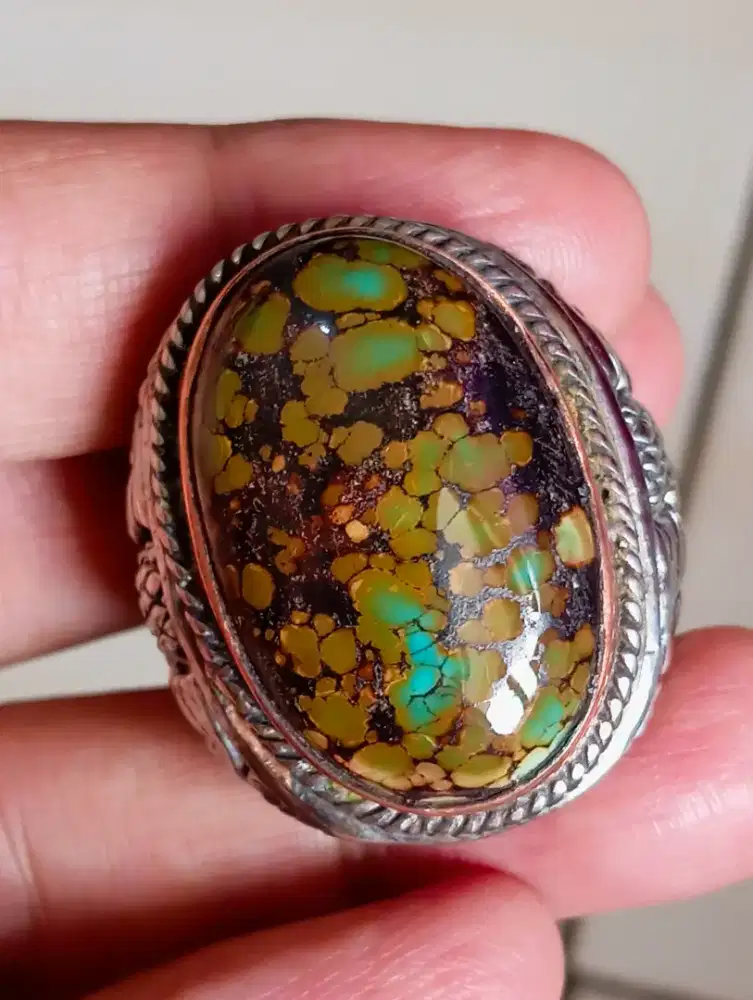 Pirus Hubei Lawas Multicolour HQ