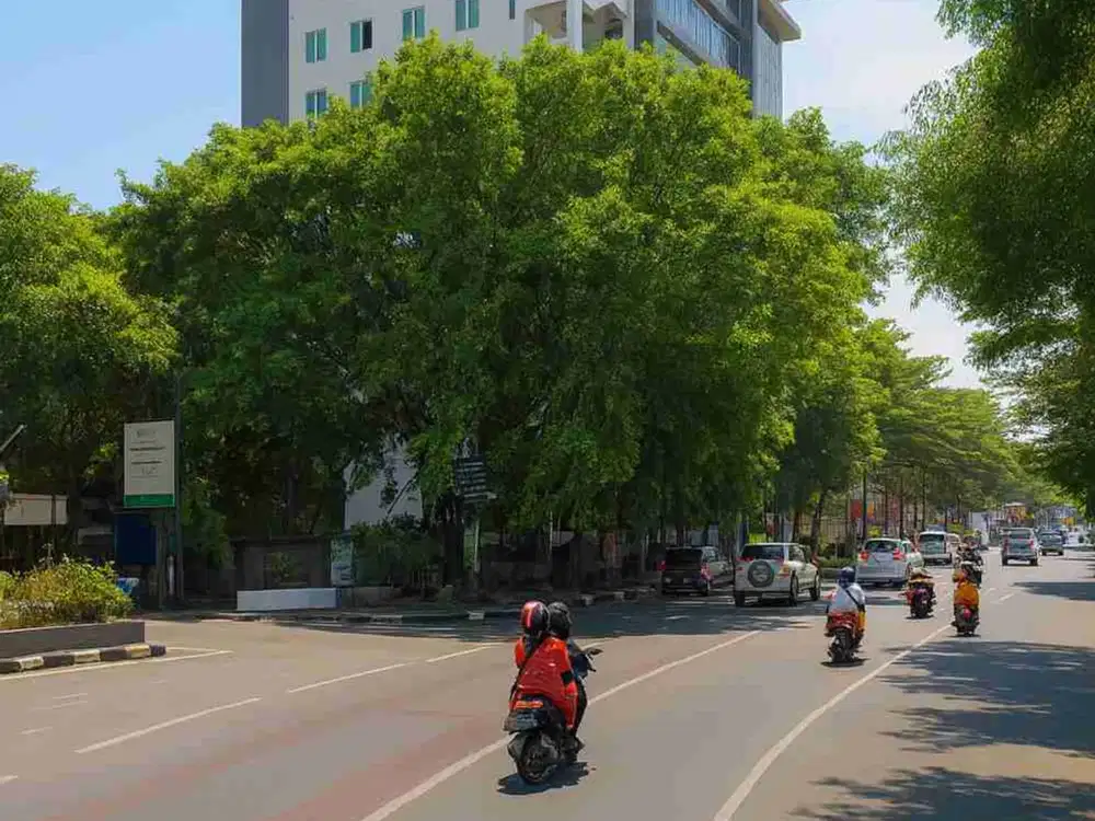 Dijual Tanah Poros Jl. Mesjid Raya Luas 615m2 SHM Dibawah NJOP