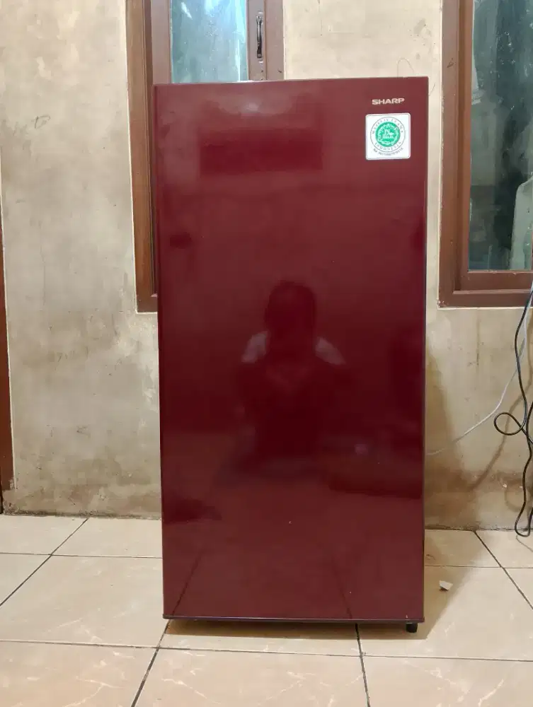 kulkas Sharp 1 pintu