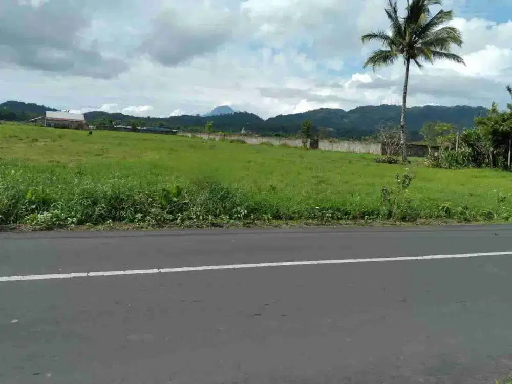 DIJUAL CEPAT TANAH CANTIK DAN MENARIK DAERAH TONDANO, HARGA SANGAT MURAH