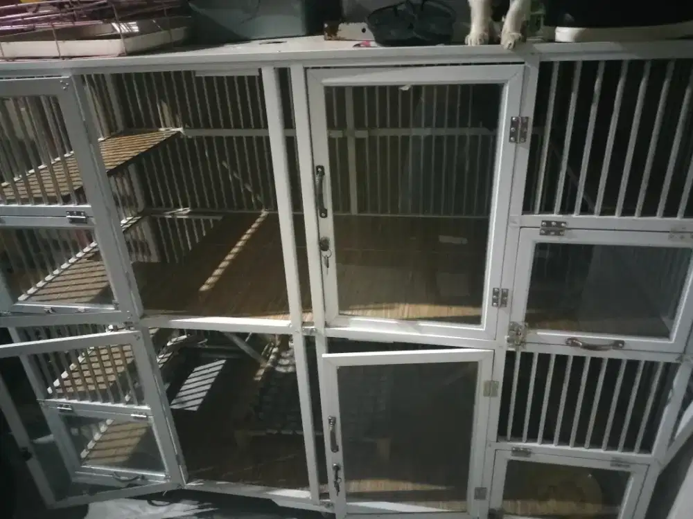 Dijual kandang kucing 2tingkat dan 4skatmurah
