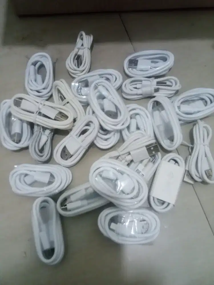 Charger + Batok Charger