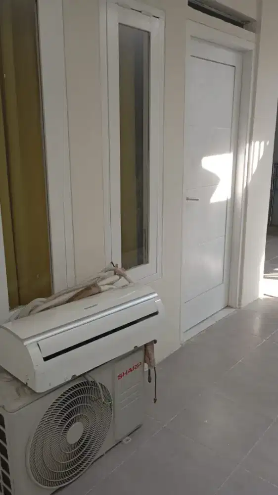 ac sharp baru like neees